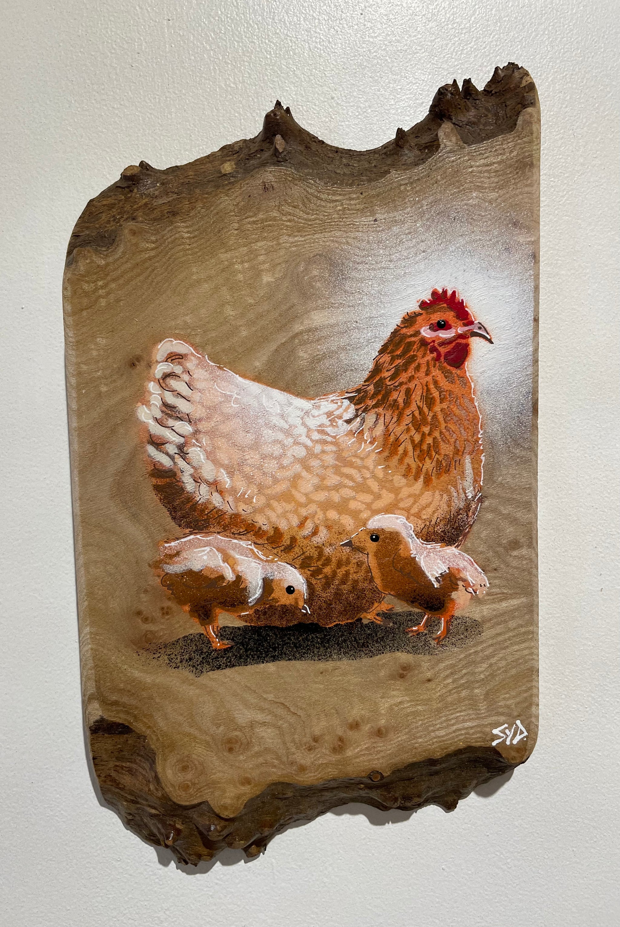 Chicken + Chicks 2023 - Number 1 in edition on rare Elm wood - 18 x 31cm