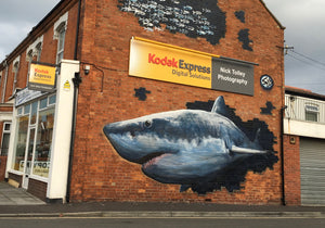 Shark from ‘Burnham’ on Ash wood with barky edge - Signed and Limited edition from South West spray painted street artwork