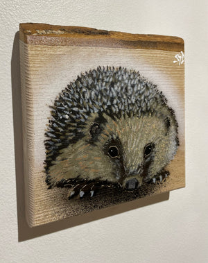 Hedgehog on Ash - new for 2023 - 14 x 16cm